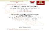 Manual DDR06 La Antigua