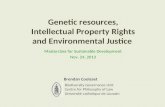 Genetic resources, Intellectual Property Rights and Environmental Justice