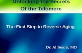 Telomeres: The Real Biologic Clock