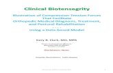 1 biotensegrity aaom-workshop-2012-clark