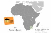 African Library Project in Swaziland