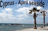 Cyprus  -  april seaside