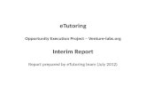 Oep interim report