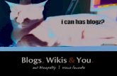 blogs, wikis, and you
