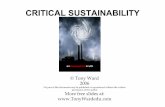 Critical Sustainability