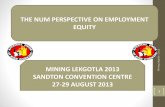 Num perspective on employment equity by eddie majadibodu
