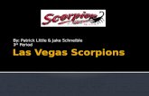 Las vegas scorpions_final_project