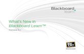 What's new in blackboard release 9.1