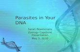 Parasites in Your DNA