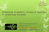 Forest Health Panel - Invasives - Dr. Tamara Walkingstick