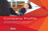 Flintfox company profile 2013