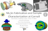Posen - Nb3Sn Fabrication and Sample Characterization at Cornell