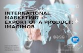 Export a product Marketing International