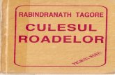 Rabindranath Tagore Culesul roadelor