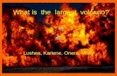 What    is  the  largest  volcano
