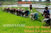 agriculture class 10 geography