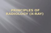 Introduction to musculoskeletal radiology