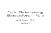 Cardiac electrophysiology part ii lecture 4-1