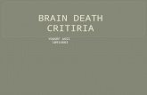 Brain death critiria