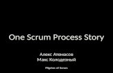 One Scrum Process Story