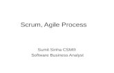 Scrum, agile process