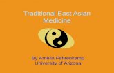 Traditional Medicine In East Asia