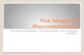 The Magic Of Macronutrients