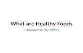 What are healthy foods