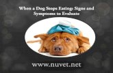 NuVet plus | when a dog stops eating signs and symptoms to evaluate