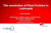 The annotation of plant proteins in UniProtKB