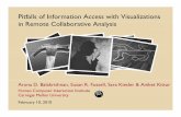 Pitfalls of Information Access with Visualizations in Remote Collaborative Analysis