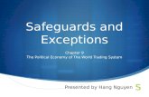 Safeguards and exceptions