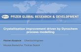 Crystallization process improvement driven by dynochem process modeling. Flavien Susanne.
