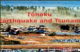 Tohoku Natural Disaster - March 11-2011