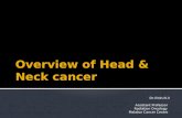 Overview of head & neck cancer