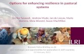 Options for enhancing resilience in pastoral systems