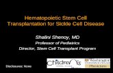 Hematopoietic Stem Cell Transplantation for Sickle Cell Disease