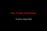 The 7 Oaks Detectives