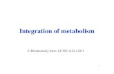4   integration of metabolism