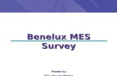 Benelux Mes Survey 2008