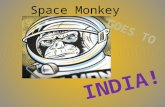 Space monkey goes to india