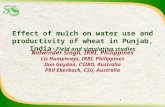 Effect of mulch on water use and productivity if wheat in Punjab, India: field and simulation studies. Balwinder Singh