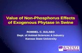 Value of Non-Phosphorus Effects of Exogenous Phytase in Swine
