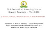 TLI 2012: Groundnut breeding - Tanzania