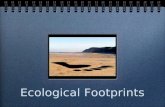 Ecological footprint powerpoint