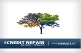 Credit Repair Insider Guide