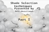 Shade Selection techniques 1