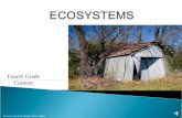 Ecosystem for elementary grade levels