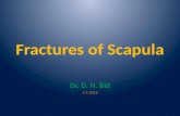 Fractures of scapula