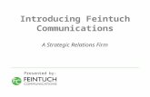 Feintuch Communications Capabilities
